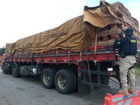 PRF apreende 26 m³ de madeira sendo transportados ilegalmente, em Santa Maria do Pará/PA