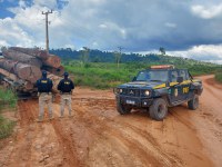 PRF apreende 27 m³ de madeira ilegal, em Uruará/PA