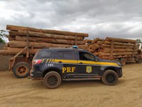 PRF apreende 58 toras de madeira ilegal, em Dom Eliseu/PA