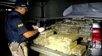 PRF apreende 438 kg de cocaína, em Castanhal/PA