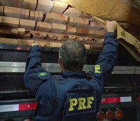 PRF apreende 17 m³ de madeira ilegal, em Ipixuna do Pará/PA