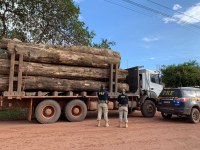PRF apreende 30 m³ de madeira ilegal, em Rurópolis/PA