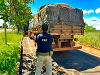 PRF apreende 23 m³ de madeira ilegal, em Altamira/PA