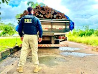 PRF apreende mais de 24 m³ de madeira ilegal, em Altamira/PA