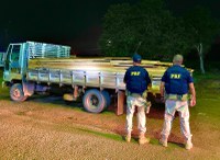 PRF recupera caminhão roubado e apreende madeira ilegal, em Altamira/PA