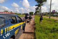 PRF recupera quase 01 veículo por dia, no Pará
