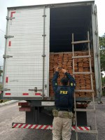 PRF apreende 19 m³ de madeira transportada ilegalmente, em Capanema/PA