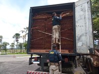 PRF apreende 37 m³ de madeira ilegal, em Capanema/PA