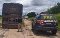 PRF apreende cerca de 46 m³ de madeira transportada ilegalmente, em Santa Maria do Pará/PA