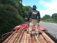 PRF no Pará apreende cerca de 31 m³ de madeiras transportadas ilegalmente, na  BR-316