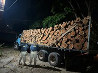 PRF apreende 40 m³ de madeira ilegal, em Marabá/PA