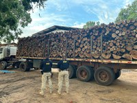 PRF apreende 45 m³ de madeira ilegal, em Marabá/PA
