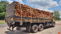 PRF apreende 50 m³ de madeira ilegal, em Castanhal/PA
