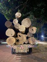 PRF apreende 40 m³ de madeira ilegal, em Rondon do Pará/PA
