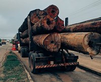 PRF apreende 10 toras de madeira ilegal, em São Miguel do Guamá/PA