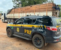 PRF apreende 62 m³ de madeira ilegal, em Sapucaia/PA