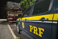 PRF apreende 63 m³ de madeira sendo transportada ilegalmente no Pará