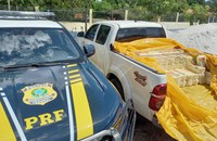 PRF apreende 462 kg de queijo sem nota fiscal em Ipixuna do Pará/PA