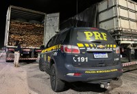 PRF apreende 74 m³ de madeira ilegal, em Castanhal/PA