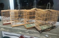 PRF resgata aves silvestres, em Capanema/PA