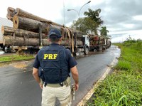 PRF apreende 98m³ de madeira ilegal, no município de Anapu/PA