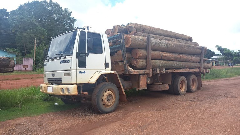 PRF apreende cerca de 20 m³ de madeira ilegal, em Dom Eliseu/PA