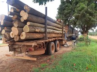 PRF apreende 06 espécies de madeira ilegal, em Dom Eliseu/PA