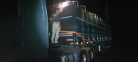 PRF apreende 35m³ de madeira sendo transportada ilegalmente, em Vitória do Xingu (PA)