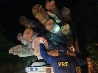 PRF apreende 62m³ de madeira sem documentação, em Dom Eliseu (PA)