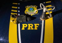 PRF apreende aparelho de rádio clandestino, em Altamira (PA)
