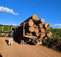 PRF apreende 37 m³ de madeira ilegal, em Marabá/PA