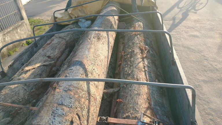PRF apreende 16 m³ de madeira sendo transportado ilegalmente, em Ipixuna do Pará