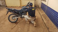 Em Trairão/PA, a PRF recupera motocicleta roubada e prende homem por receptação