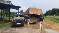 Em Santarém/PA, a PRF apreende 51,11 m³ de madeira sendo transportada ilegalmente