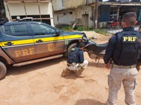 Em Anapú/PA, a PRF recuperou motocicleta roubada e prendeu homem por Receptação