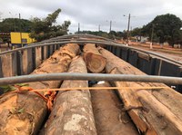 PRF apreende 20,97m³ de madeira ilegal, em Dom Eliseu/PA