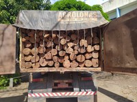 PRF apreende 21,95m³ de madeira ilegal, em Marabá/PA