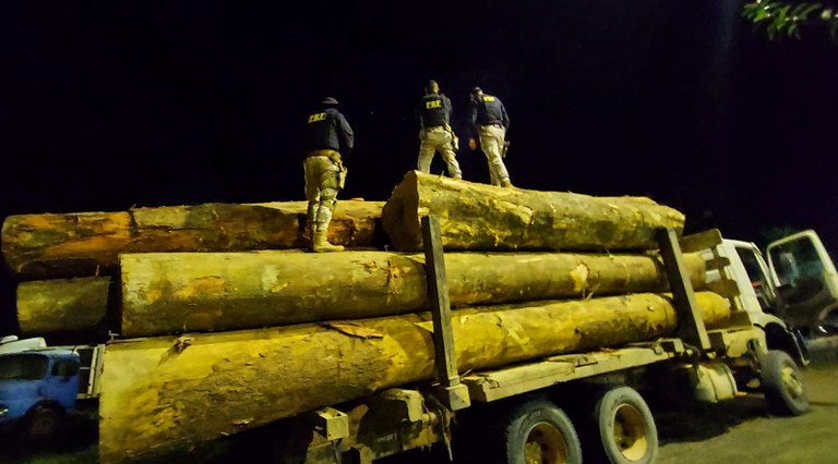 PRF apreende 38,78 m³ de madeira sendo transportada de forma ilegal, em Altamira