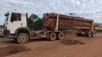 PRF apreende 37,61 m³ de madeira sendo transportada de forma ilegal, em Ulianópolis/PA