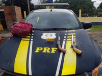 Em Ipixuna do Pará/PA, a PRF prende dois homens com espingardas e munições na BR-010
