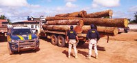 Em Itaituba/PA, a PRF apreende 10 toras de madeira sendo transportada ilegalmente