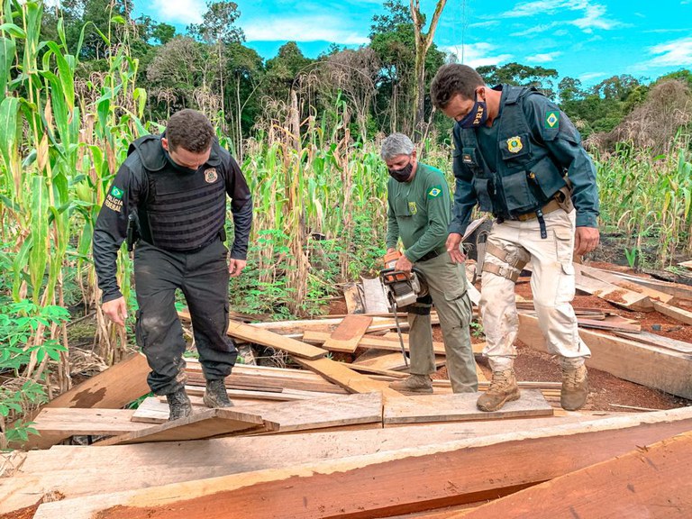 PRF do Pará atua na Operação Avarum do MPF para combater a ocupação irregular de terras e o desmatamento ilegal no PDS Esperança, em Anapú/PA
