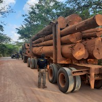PRF apreende 86,27m³ de madeira sendo transportada de forma ilegal, durante fiscalização no município de Rondon do Pará/PA