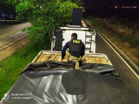 PRF apreende cerca de 26,5m³ de madeira sendo transportada ilegalmente, em Anapu/PA
