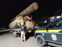 PRF apreende 32,9m³ de madeira sendo transportada ilegalmente, em Placas/PA