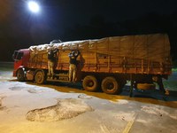 PRF apreende comprimidos de anfetamina e 25 m³ de madeira sendo transportada ilegalmente, em Santarém/PA