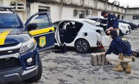 PRF na Paraíba apreende mais de 50kg de crack escondido em interior de veículo