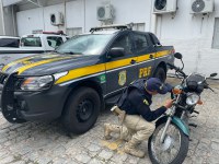 Motocicleta é recuperada pela PRF na manhã desta sexta-feira (14)