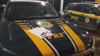 PRF na Paraíba prende foragido da Justiça por roubo e flagra homem sem habilitação dirigindo embriagado
