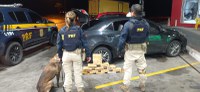 PRF apreende carga milionária de cocaína em fundo falso de veículo em São José dos Pinhais/PR
